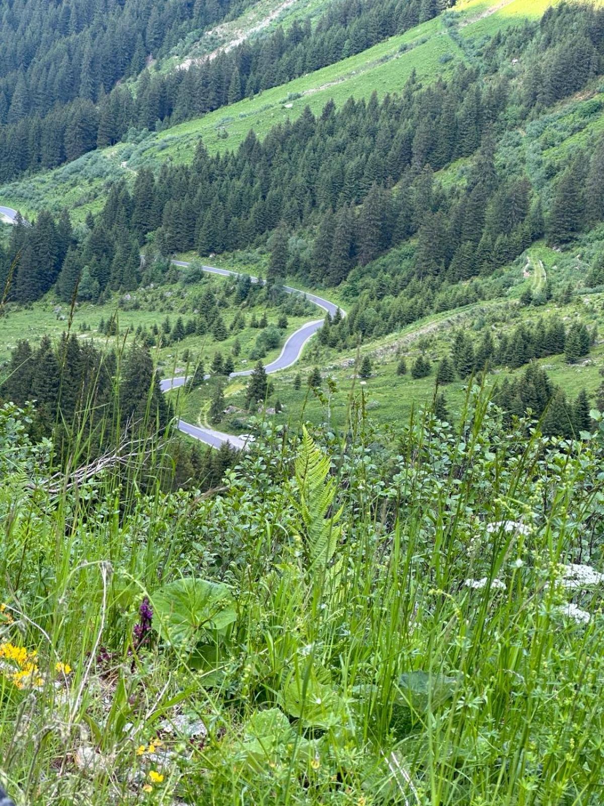 Apart Alpenpension Maderer Gaschurn Exterior foto